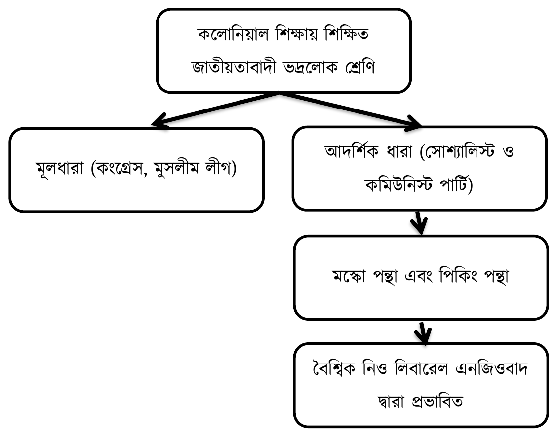 কলোনিয়াল শিক্ষায় শিক্ষিত জাতীয়তাবাদী ভদ্রলোক শ্রেণি; মূলধারা (কংগ্রেস, মুসলীম লীগ); আদর্শিক ধারা (সোশ্যালিস্ট ও কমিউনিস্ট পার্টি); মস্কো পন্থা এবং পিকিং পন্থা; বৈশ্বিক নিও লিবারেল এনজিওবাদ দ্বারা প্রভাবিত